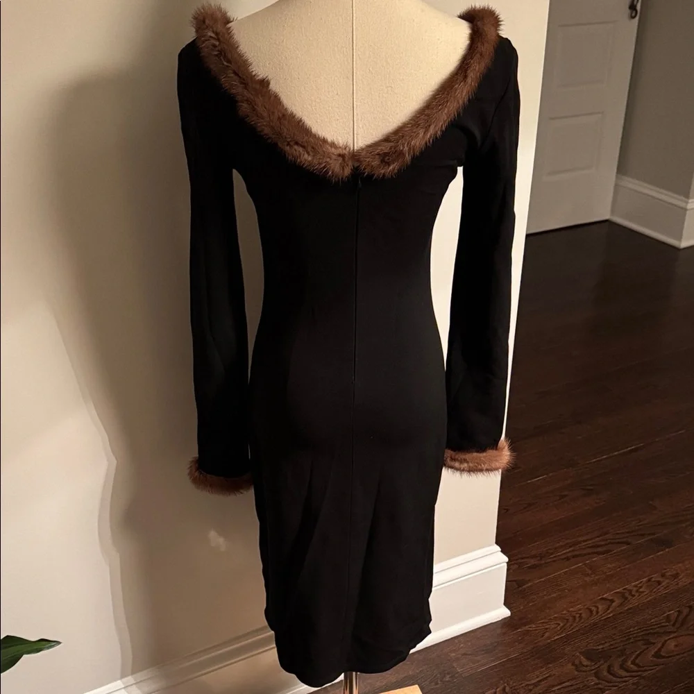 Vintage mink trimmed Dress - Picture 6 of 12
